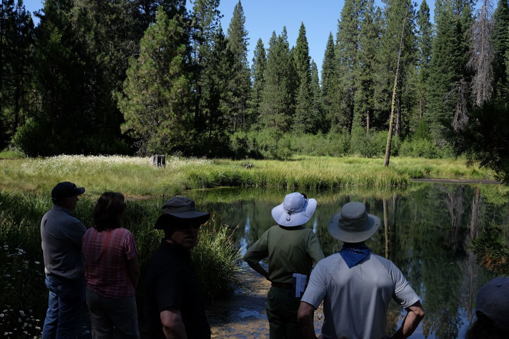 McCloud Soda Springs